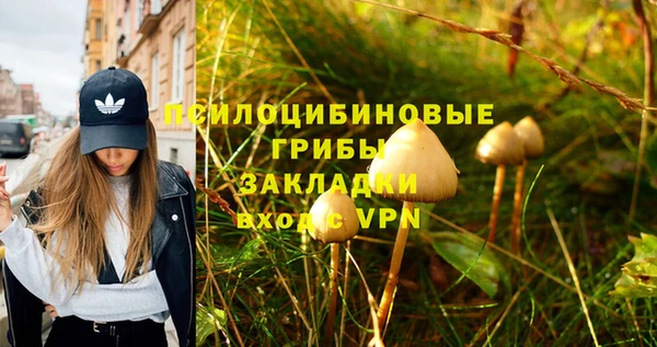 дурь Наволоки