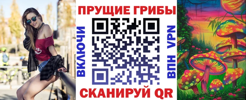 где продают наркотики Карабаш Галлюциногенные грибы Psilocybine cubensis